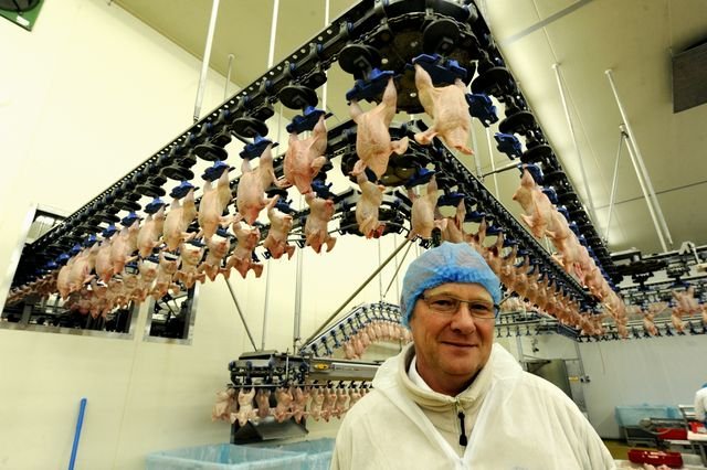 Entdecken Sie die Magie der Chicken Road in Deutschland als Online Spiel